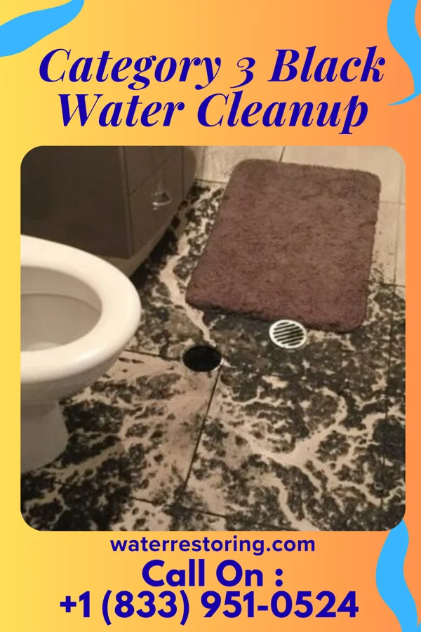 Category 3 Black Water Cleanup in McLouth, KS