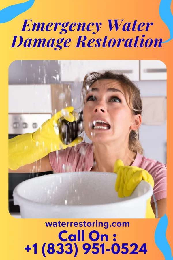 Emergency Water Damage Restoration in McLouth, KS